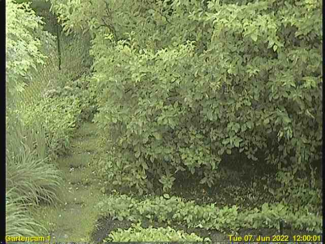 Garten-Webcam